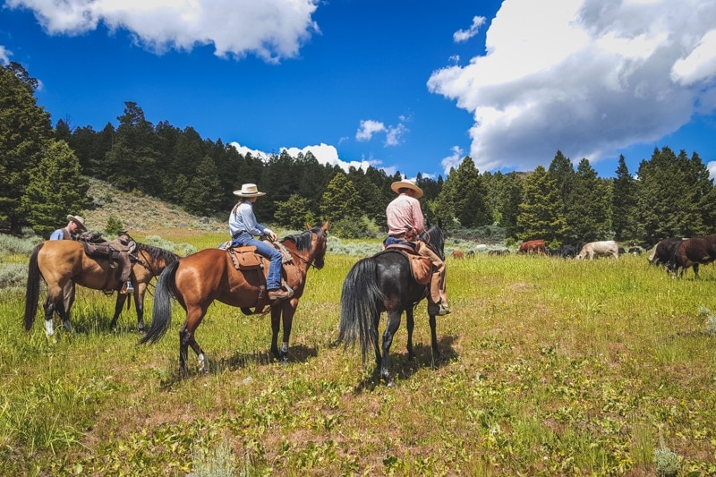 Alderspring Organic Meat Awesome Staff: Alderspring Ranch Organic Grass ...